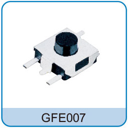 GFE007