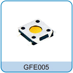 GFE005