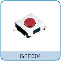 GFE004