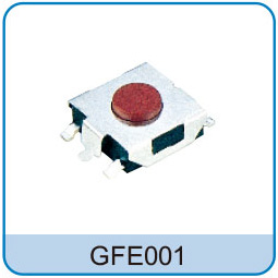 GFE001