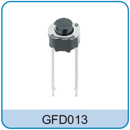 GFD013