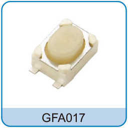GFA017