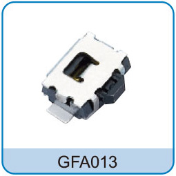 GFA013